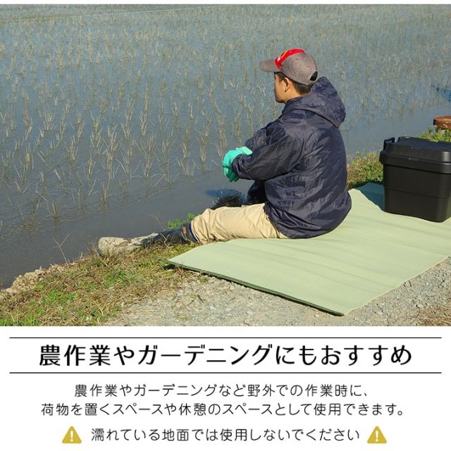 ラグ 洗える 日本製 国産 アウトドア レジャー アウトドア 和室 シンプル 江戸間8畳(約348×352cm)