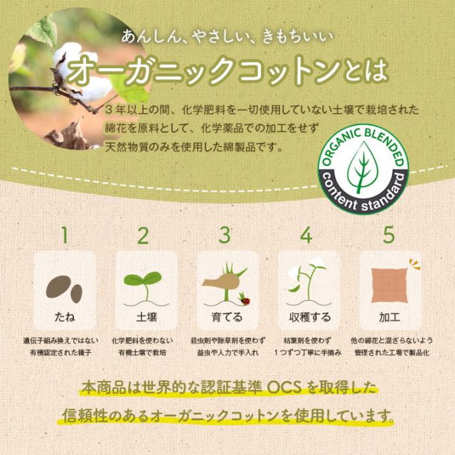 クッション フリーシート ソファ 車 日本製 オーガニックコットン 綿100% ボーダー 洗える 約43×130cm