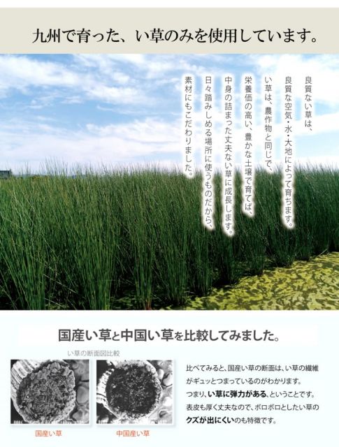 スーパSALE10倍＆4時間限定10％OFF 玄関 マット 室内 おしゃれ 日本製 国産 い草 自然素材 花柄 モダン 約60×90cm
