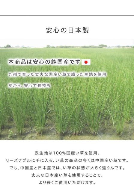 い草ラグ　おしゃれ　国産　カーペット  『Fレパード』 約140×200cｍ