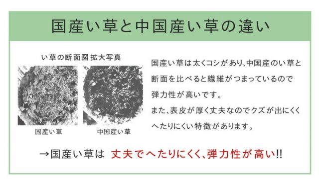い草ラグ　おしゃれ　国産　カーペット  『Fレパード』 約140×200cｍ