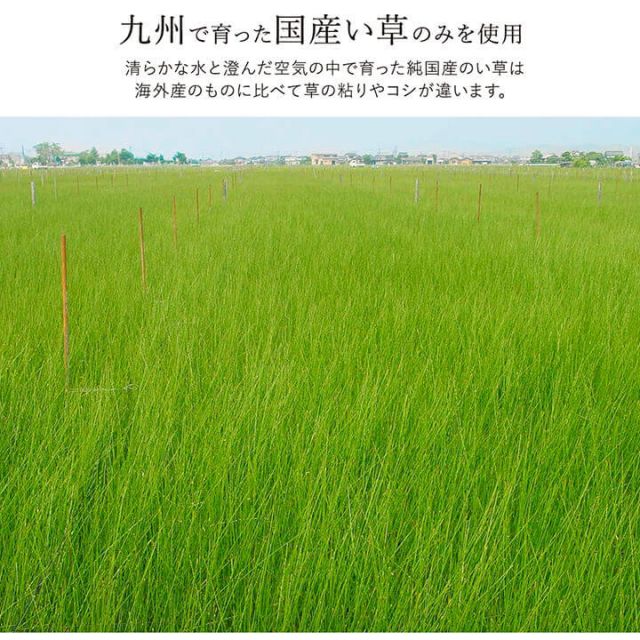 ラグ い草 国産 純国産 日本製 シンプル 無地風 抗菌防臭 自然素材 ウレタン 約191×250cm