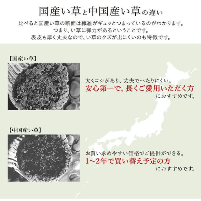 ラグ い草 国産 純国産 日本製 シンプル 無地風 抗菌防臭 自然素材 ウレタン 約191×250cm