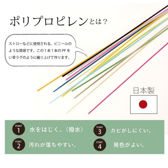ラグ  PPカーペット 『Fウィード』 江戸間4.5畳（約261×261cm）