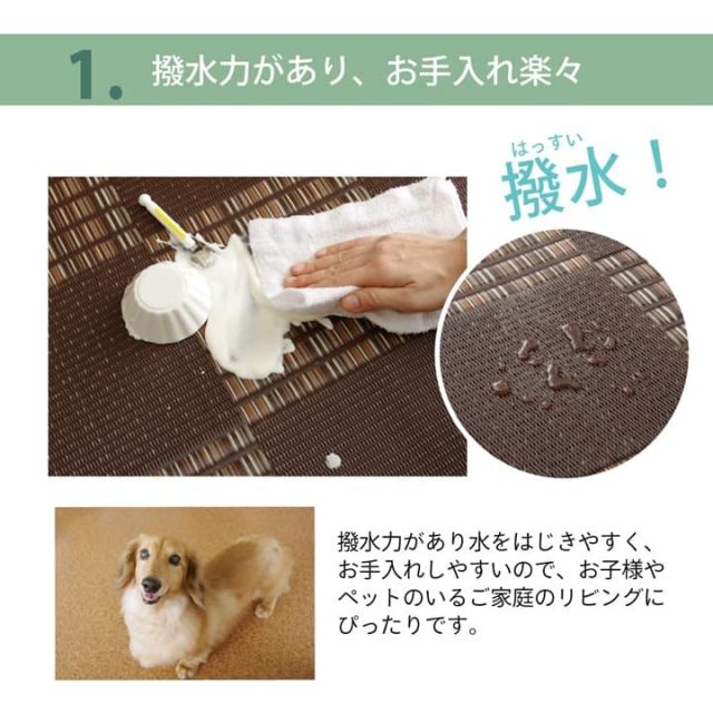 ラグ  PPカーペット 『Fウィード』 江戸間4.5畳（約261×261cm）