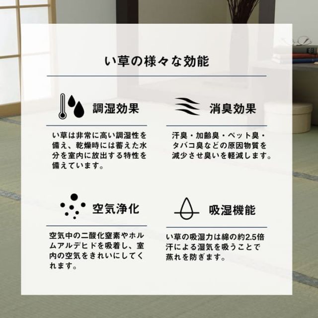 い草 上敷き カーペット 制菌 抗菌防臭 消臭 小林製薬KOBA-GUARD  江戸間2畳(約176×176cm）