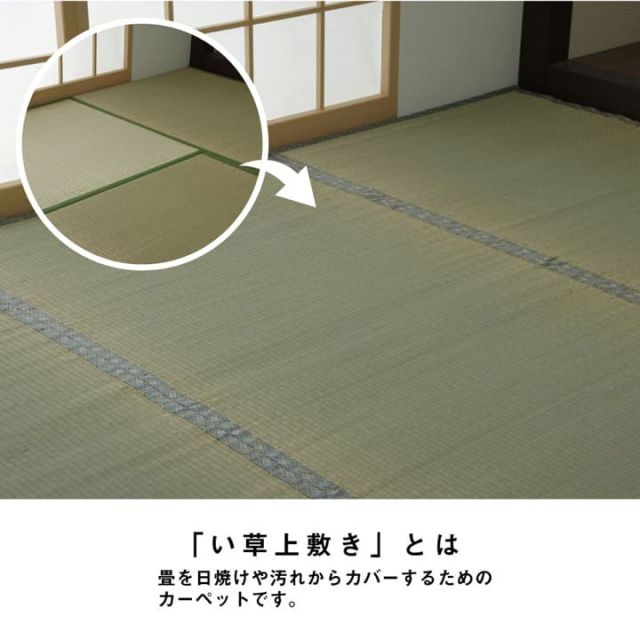 い草 上敷き カーペット 制菌 抗菌防臭 消臭 小林製薬KOBA-GUARD  江戸間6畳(約261×352cm）