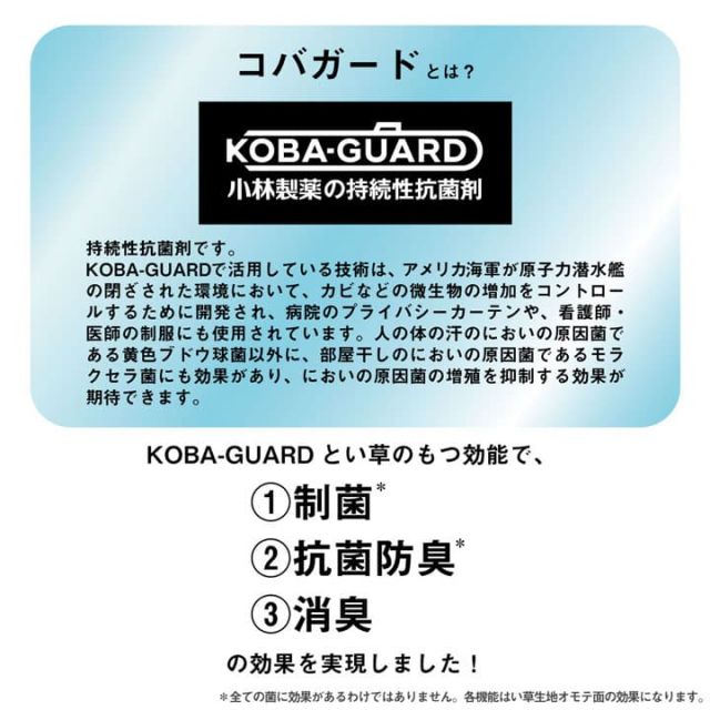 い草 上敷き カーペット 制菌 抗菌防臭 消臭 小林製薬KOBA-GUARD  江戸間6畳(約261×352cm）