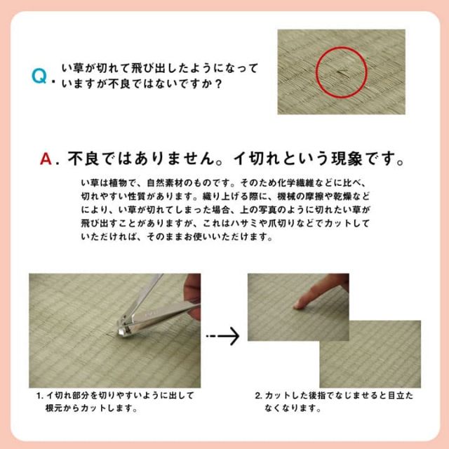 い草 上敷き カーペット 制菌 抗菌防臭 消臭 小林製薬KOBA-GUARD  江戸間6畳(約261×352cm）