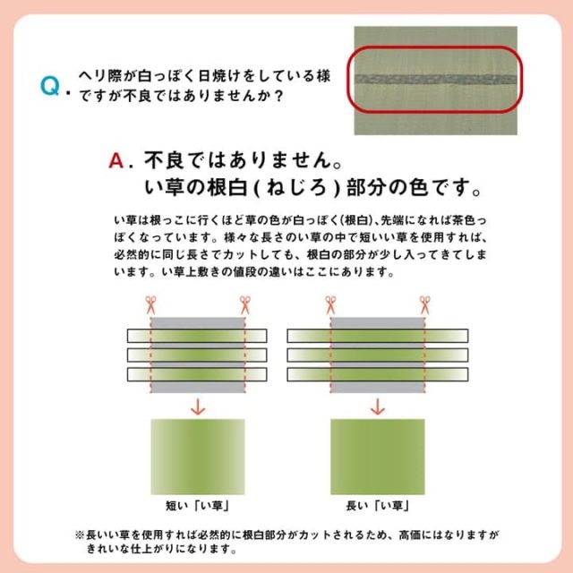 い草 上敷き カーペット 制菌 抗菌防臭 消臭 小林製薬KOBA-GUARD  江戸間6畳(約261×352cm）