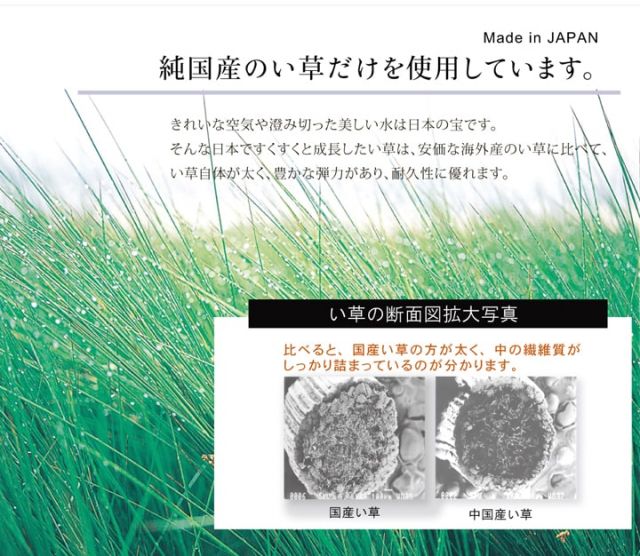 スーパSALE10倍＆4時間限定10％OFF 純国産 い草ラグカーペット 『虎』  約191×250cm