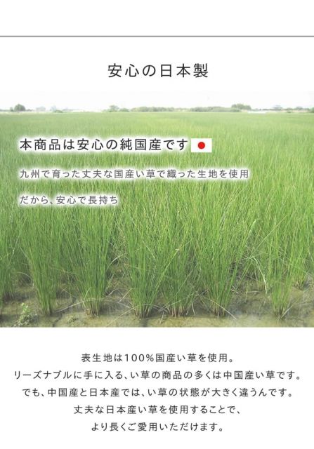 い草ラグ　おしゃれ　国産　カーペット  『Fウォール』  約191×191cm