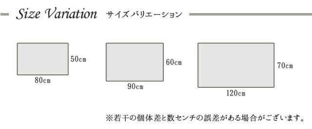 玄関マット トルコ製 ウィルトン織り 約60×90cm 抗菌防臭 消臭機能 へたりにくい