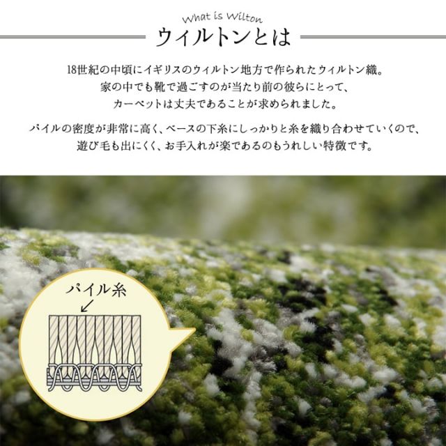 スーパSALE10倍＆4時間限定10％OFF 玄関マット トルコ製 ウィルトン織り 森 約70×120cm 抗菌防臭 消臭機能 へたりにくい