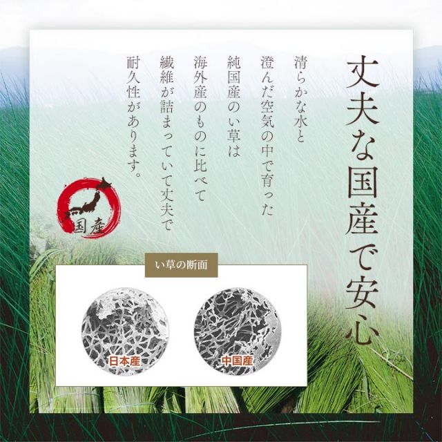 座布団 い草座布団 日本製 抗菌防臭 消臭 湿度調整 蒸れにくい 涼しい モダン 無地 5枚組 55×55cm
