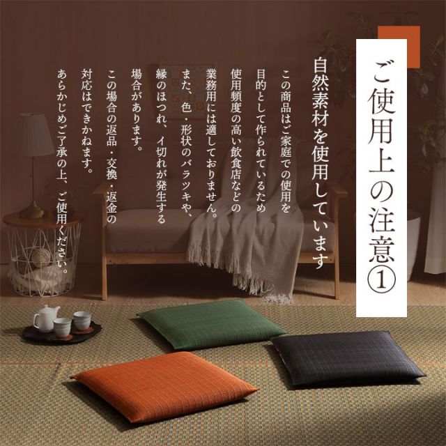 座布団 い草座布団 日本製 抗菌防臭 消臭 湿度調整 蒸れにくい 涼しい モダン 無地 2枚組 55×55cm