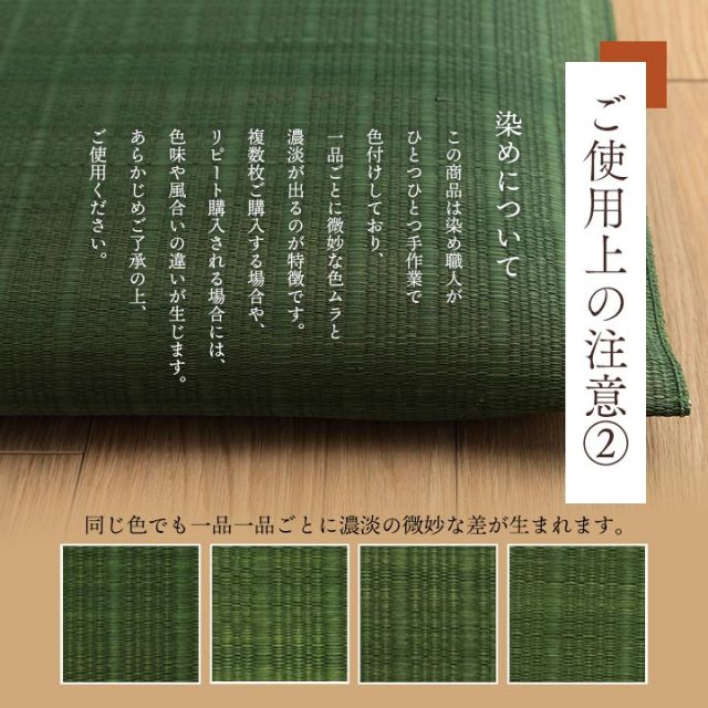 座布団 い草座布団 日本製 抗菌防臭 消臭 湿度調整 蒸れにくい 涼しい モダン 無地 2枚組 55×55cm
