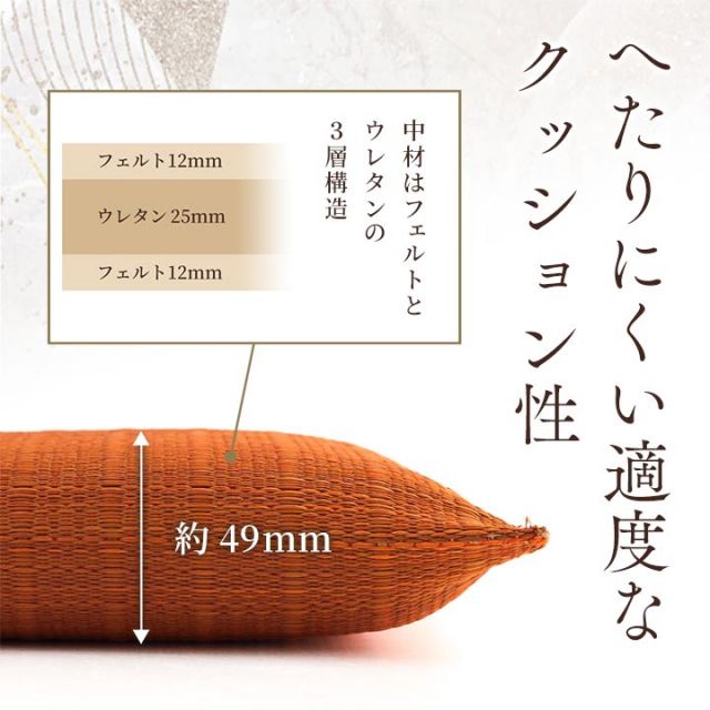 座布団 い草座布団 日本製 抗菌防臭 消臭 湿度調整 蒸れにくい 涼しい モダン 無地 2枚組 55×55cm