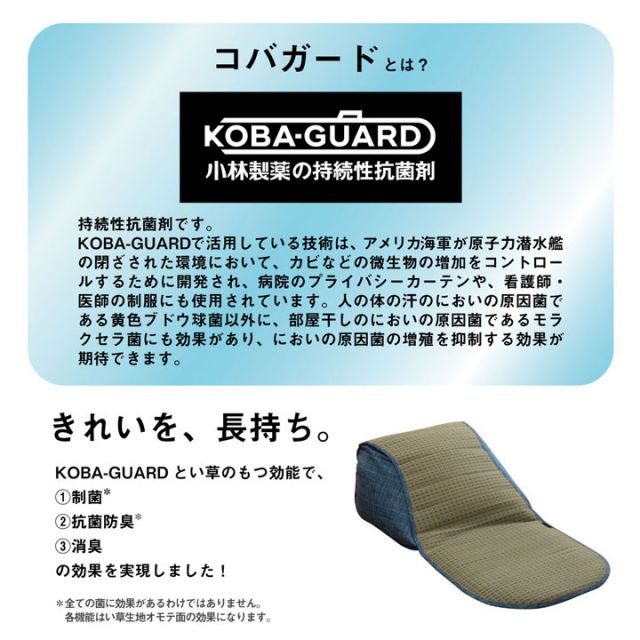 クッション くつろぎ ごろごろ い草 抗菌防臭 消臭 シンプル 小林製薬コバガード使用 約48×90cm