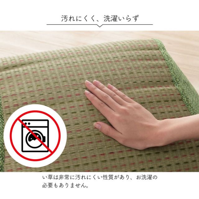 クッション くつろぎ ごろごろ い草 抗菌防臭 消臭 シンプル 小林製薬コバガード使用 約48×90cm