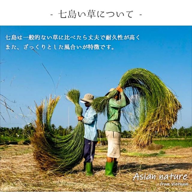 スリッパ 箱付七島い草 ベトナム製 ギフト 市松柄 M(適応サイズ22.5?25cm)