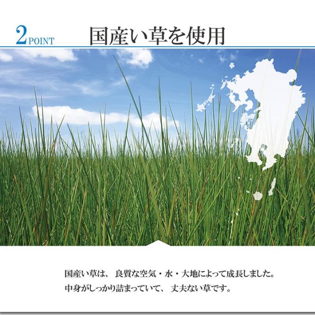 敷物 花ござ 国産 純国産 日本製 小林製薬 持続性抗菌剤 KOBA-GUARD 制菌 抗菌防臭  夏 い草 市松 モダン 滑り止め 不織布 江戸間2畳 約174×174cm