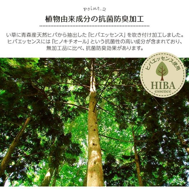 い草ラグ 裏ばり 花ござ カーペット ラグ 3畳 ギャッベ(ギャベ)柄 抗菌防臭 消臭 江戸間3畳 (約174×261cm） 裏:不織布