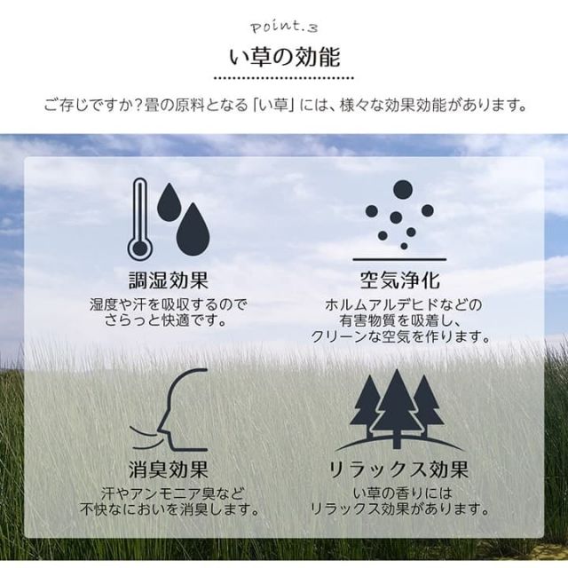 い草ラグ 裏ばり 花ござ カーペット ラグ 4.5畳 ギャッベ(ギャベ)柄 抗菌防臭 消臭 江戸間4.5畳 (約261×261cm） 裏:不織布