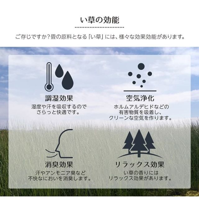い草ラグ 花ござ カーペット ラグ 6畳 ギャッベ(ギャベ)柄 抗菌防臭 消臭 江戸間6畳 (約261×352cm）
