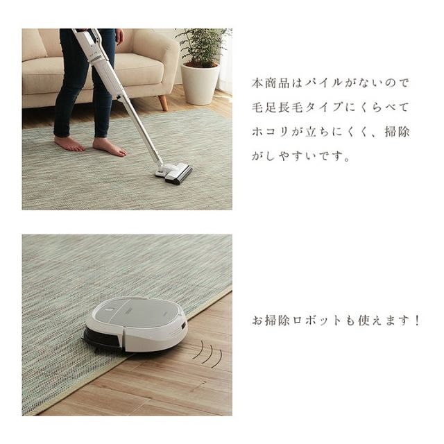 ラグ バンブー 竹 グラデーション 抗菌防臭 消臭 夏 オールシーズン 滑り止めシート付き 約190×300cm