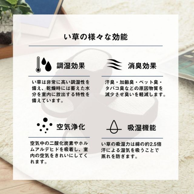 スリッパ ルームシューズ シンプル い草 消臭 コンフォート 前あき 通年 Mサイズ 室内 自宅 オフィス 来客 在宅勤務 夏