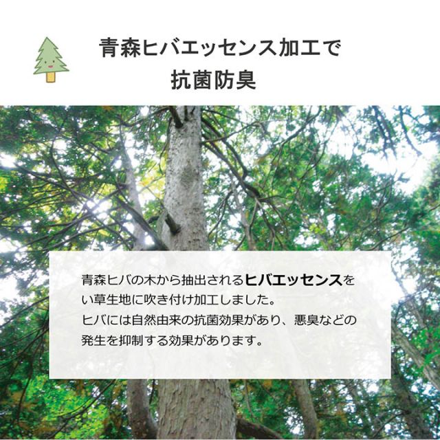 日本製 い草 い草シーツ 子供用 お昼寝 シンプル 星柄 約70×120cm