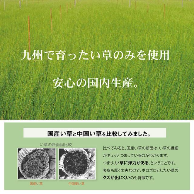 日本製 い草 い草シーツ 子供用 お昼寝 シンプル 星柄 約70×120cm