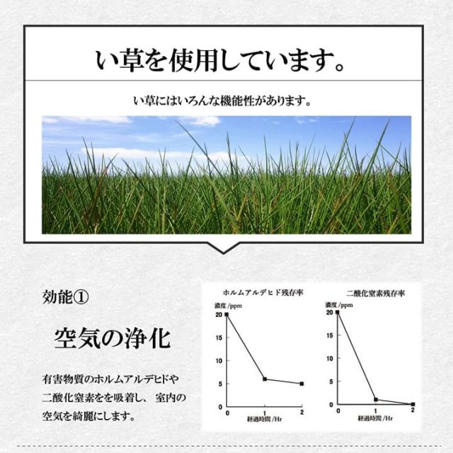 スーパSALE10倍＆4時間限定10％OFF い草 くつろぐ ソファにおすすめ クッション 枕 ソファ枕 さらさら 消臭 シンプル 約20×50×20cm