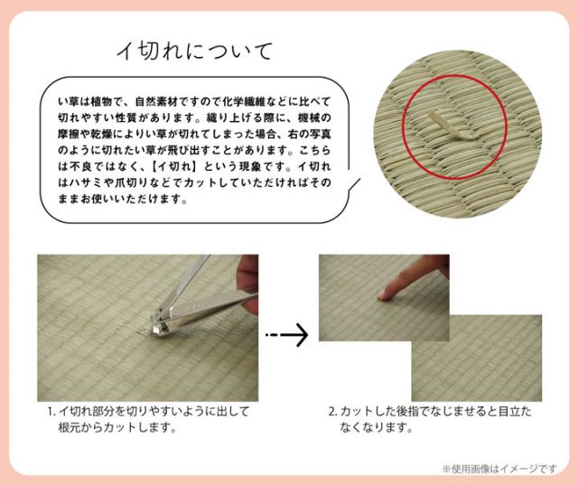クッション くつろぎ い草 抗菌防臭 シンプル 小林製薬コバガード使用 約40×30×20cm