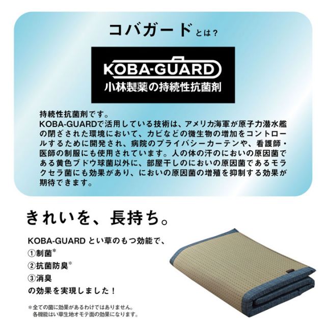 スーパSALE10倍＆4時間限定10％OFF マット くつろぎ お昼寝 い草 抗菌防臭 消臭 シンプル 小林製薬コバガード使用 約70×150cm