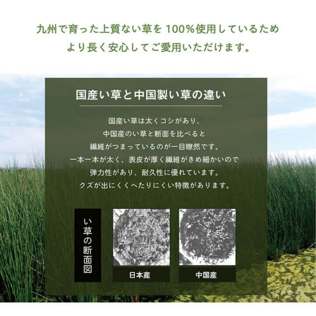 枕 まくら い草 高さが調整できる さらさら 消臭 シンプル 無地 平枕 約50×30cm