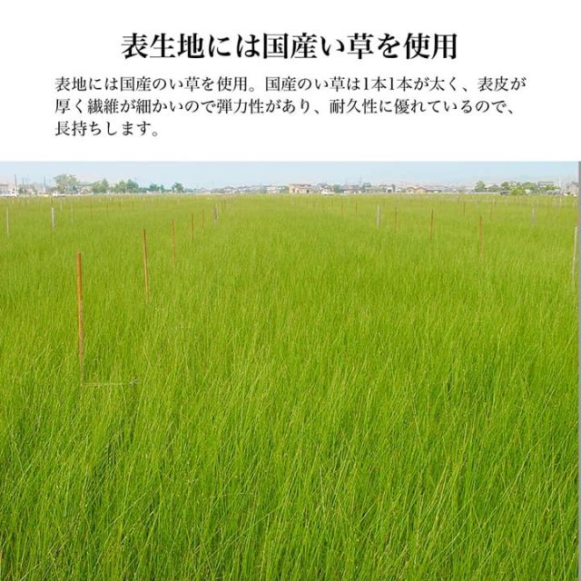 スーパSALE10倍＆4時間限定10％OFF 日本製 い草 足枕 くつろぎ 刺しゅう入り 父の日 母の日 ギフト