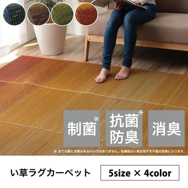 ラグ 小林製薬 持続性抗菌剤 KOBA-GUARD 制菌 抗菌防臭  滑り止め 不織布 夏 い草 グラデーション 約190×300cm