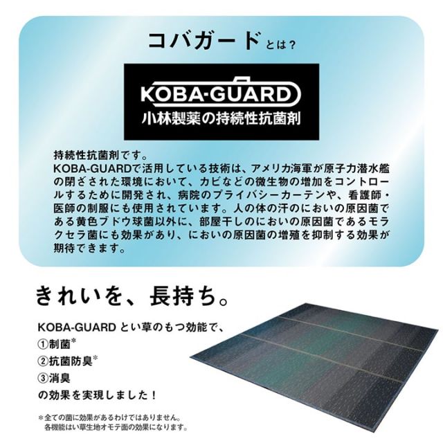 ラグ 小林製薬 持続性抗菌剤 KOBA-GUARD 制菌 抗菌防臭  滑り止め 不織布 夏 い草 グラデーション 約190×300cm