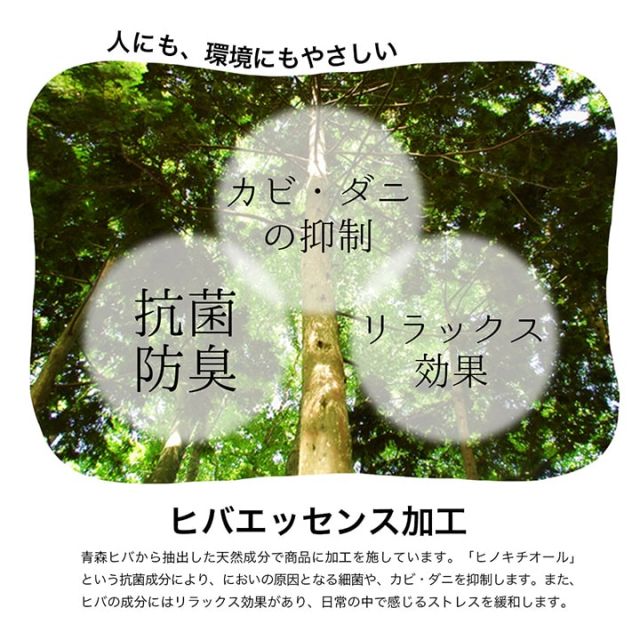 ラグ 長方形 い草 自然素材 シンプル ボーダー 裏面すべり止め付き 滑りにくい 抗菌防臭 約3畳 約180×240cm