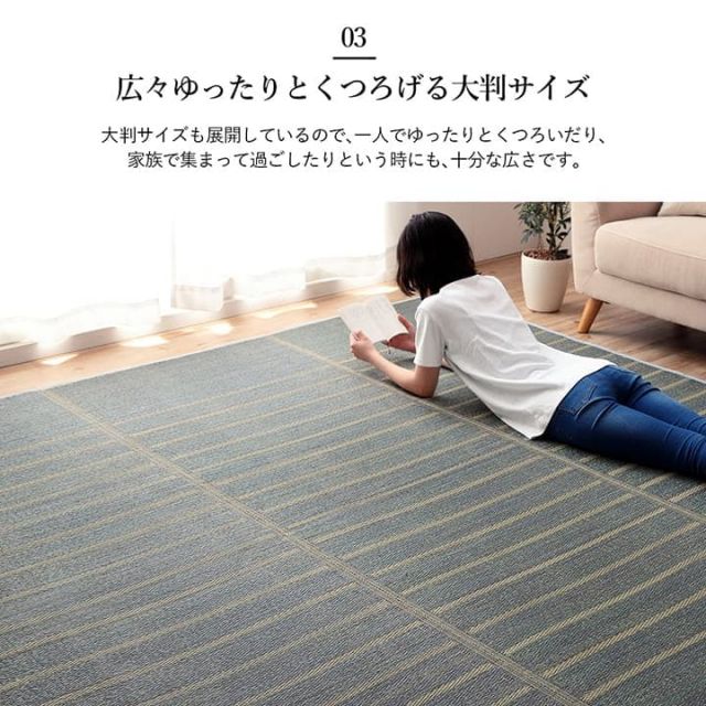 ラグ 長方形 い草 自然素材 シンプル ボーダー 裏面すべり止め付き 滑りにくい 抗菌防臭 約6畳 約240×320cm