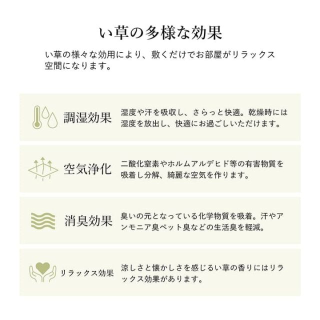 ラグ 長方形 い草 自然素材 シンプル ボーダー 裏面すべり止め付き 滑りにくい 抗菌防臭 約6畳 約240×320cm