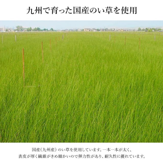 おすすめ　玄関マット　上がり框　和モダン　おしゃれ　クッション性　花柄　高級感アップ　室内　天然素材　インテリア　約35×90cm