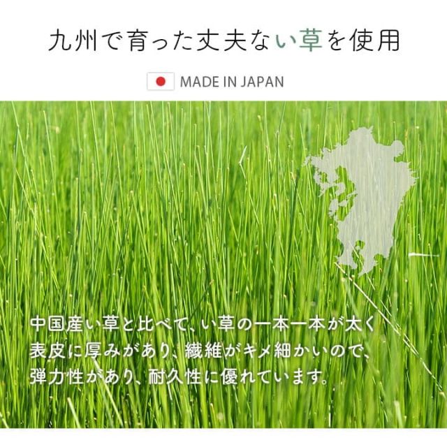 おすすめ　花柄　高級感　玄関マット 室内 おしゃれ　玄関 マット い草ラグ 日本製 抗菌防臭 国産 滑り止めいぐさ　約60×90cm