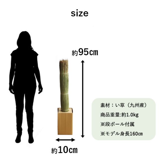 国産 日本製 い草 インテリア オブジェ 消臭 空気清浄 ナチュラル 植物 置物 95×10cm