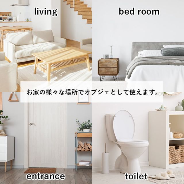 国産 日本製 い草 インテリア オブジェ 消臭 空気清浄 ナチュラル 植物 置物 95×10cm