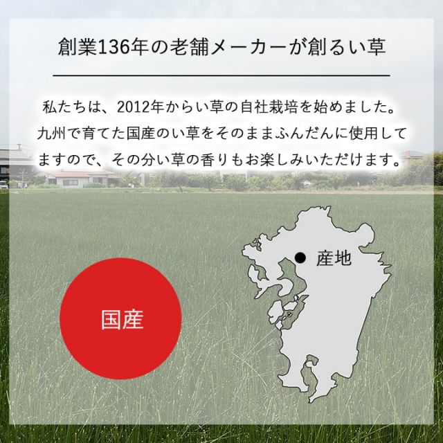 国産 日本製 い草 インテリア オブジェ 消臭 空気清浄 ナチュラル 植物 置物 95×10cm