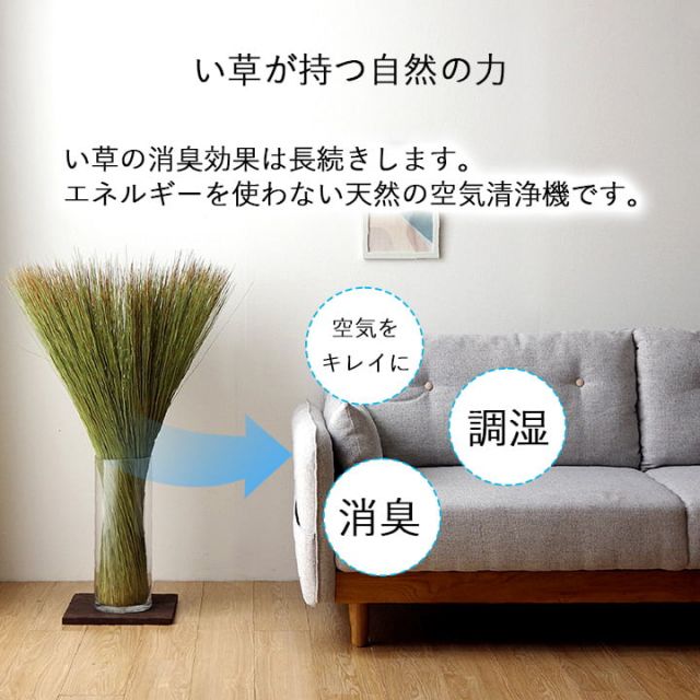 国産 日本製 い草 インテリア オブジェ 消臭 空気清浄 ナチュラル 植物 置物 95×10cm