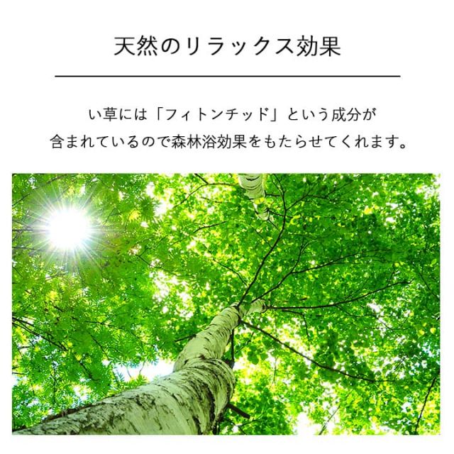 国産 日本製 い草 インテリア オブジェ 消臭 空気清浄 ナチュラル 植物 置物 95×10cm